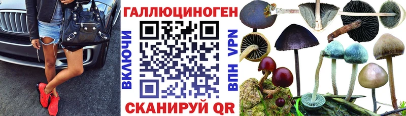 Псилоцибиновые грибы GOLDEN TEACHER  наркотики  Калач-на-Дону 